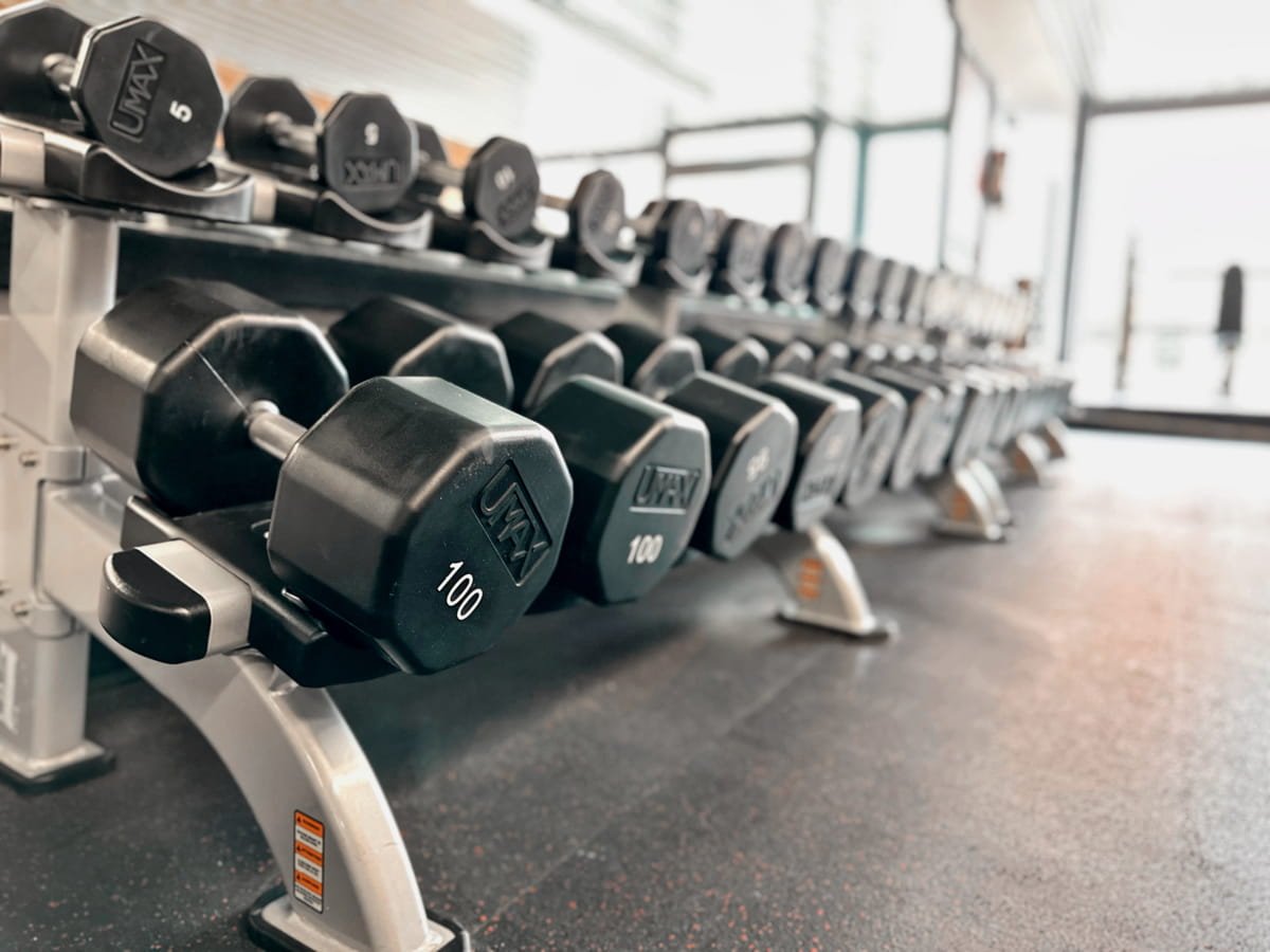 A pair of 100 lb UMAX dumbbells on a rack at MTZ Fitness
